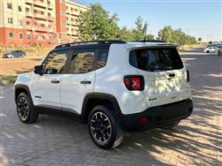 جیپ رێنێگەید